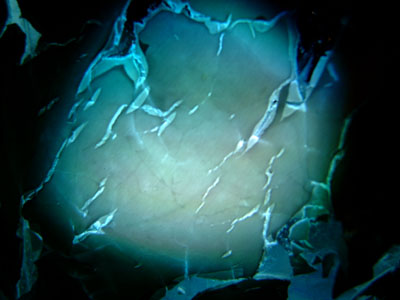 DSCF0174
